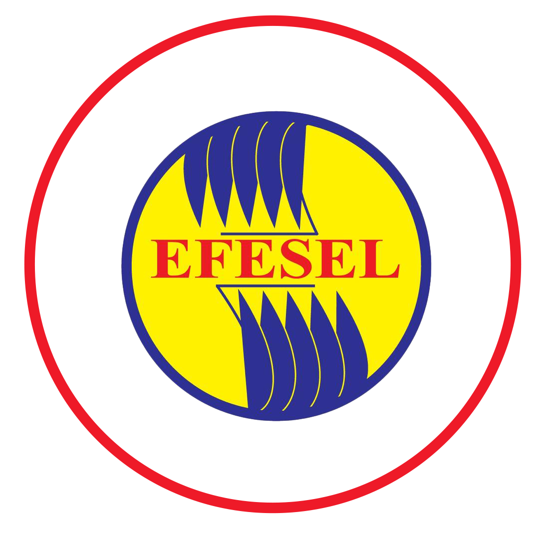 Emirates Fire Engineering Services